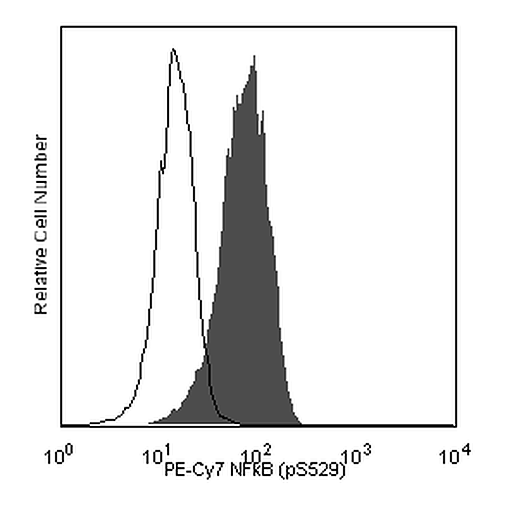 BD PE-Cy7 Mouse anti-NF-κB p65 (pS529)
