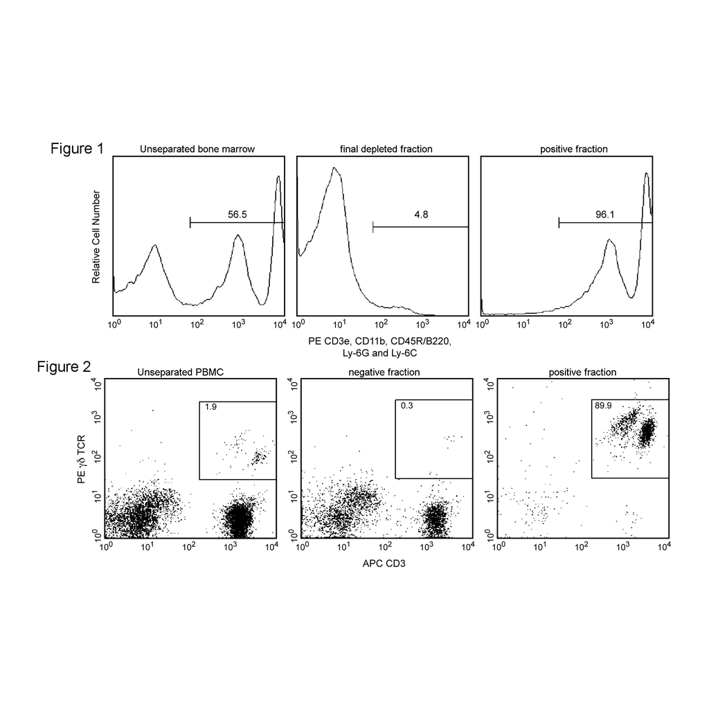 BD Anti- R-Phycoerythrin (PE) Magnetic Particles - DM