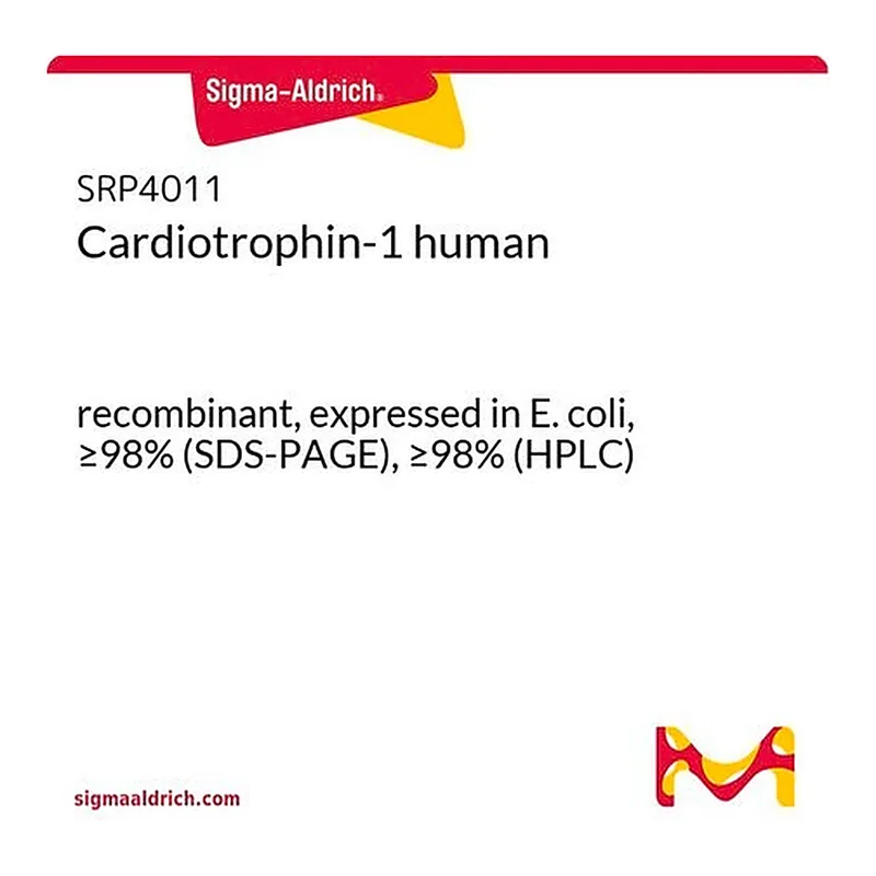 Merck Cardiotrophin-1 human