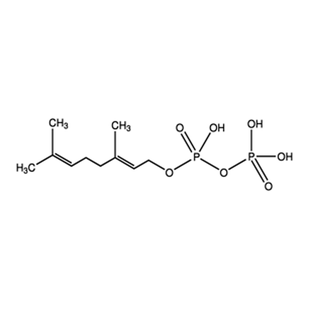 Merck GERANYL PYROPHOSPHATE AMMONIUM 200     &