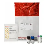 Thermo Fisher Scientific CBQCA Plus Protein Quantitation Kit