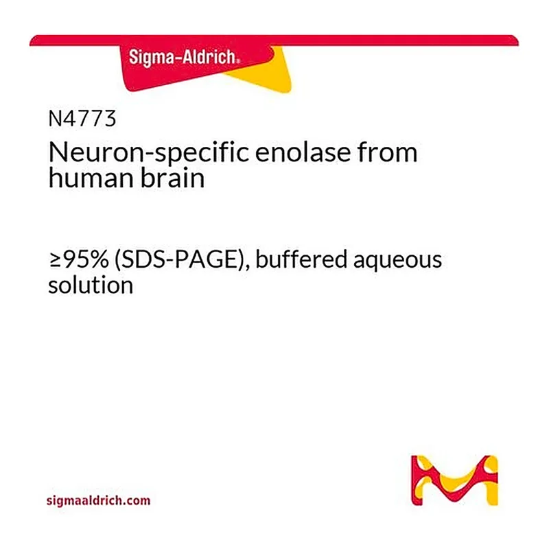 Merck Neuron-specific enolase from human brain
