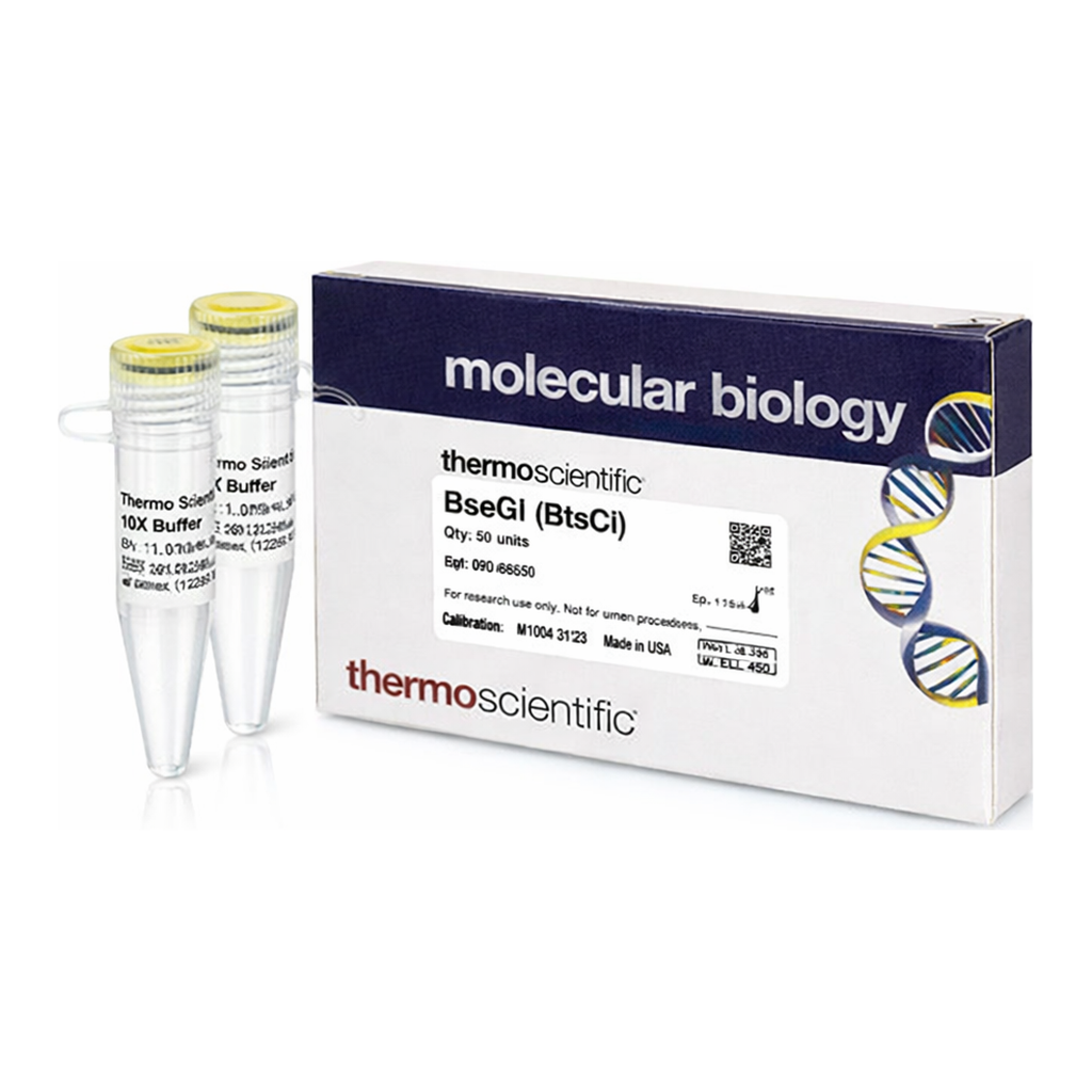 Thermo Fisher Scientific BseGI (BtsCI) (10 U/&mu;L), 500 units
