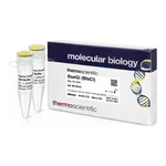Thermo Fisher Scientific BseGI (BtsCI) (10 U/μL), 500 units