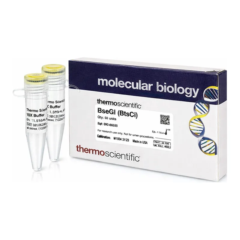 Thermo Fisher Scientific BseGI (BtsCI) (10 U/μL), 500 units