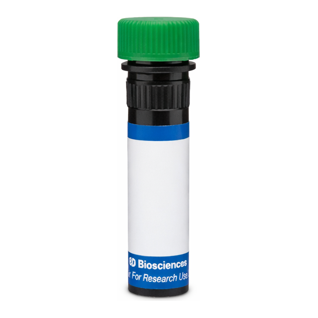 BD RB545 Rat Anti-MouseTCR Vβ6