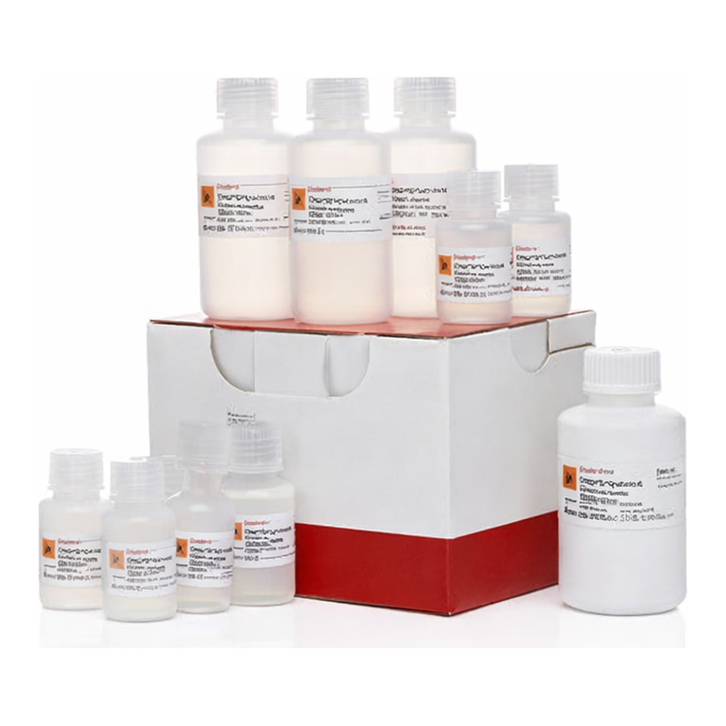 Thermo Fisher Scientific SilverXpress Silver Staining Kit