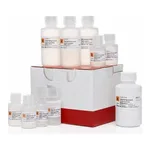 Thermo Fisher Scientific SilverXpress Silver Staining Kit