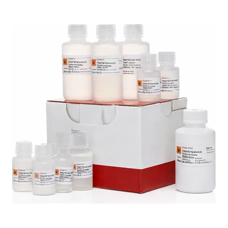 Thermo Fisher Scientific SilverXpress Silver Staining Kit