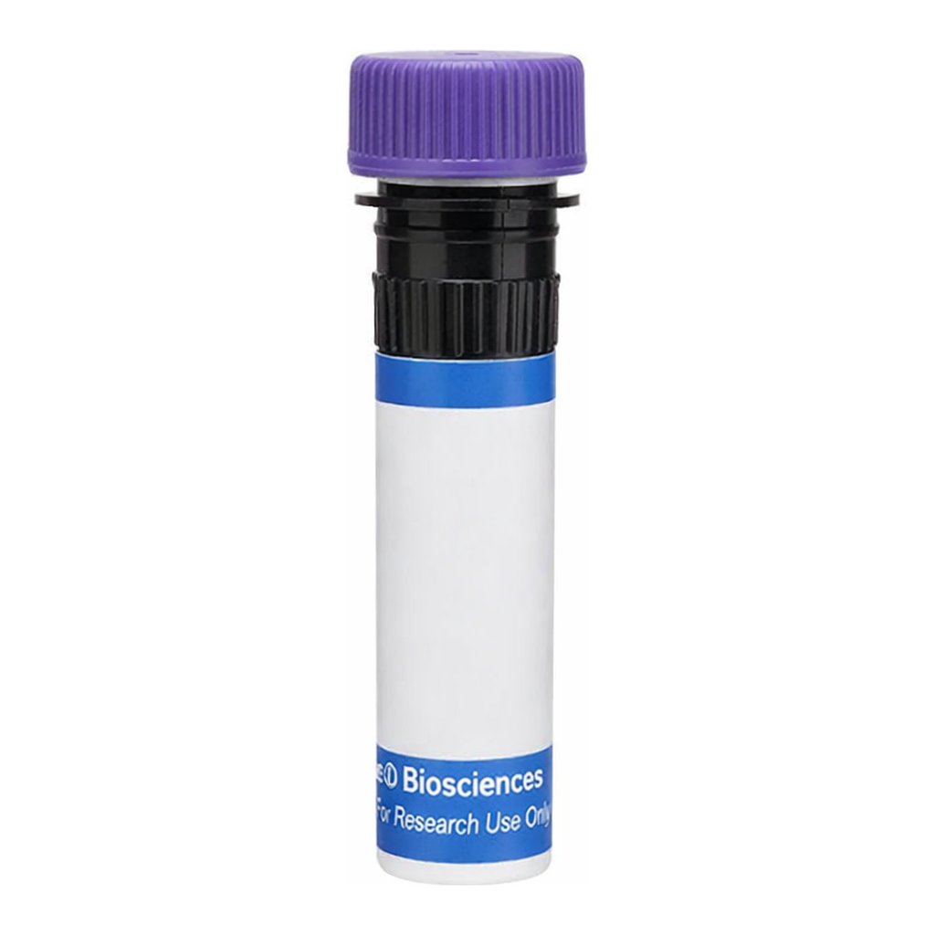 BD RB744 Hamster IgG1, κ Isotype Control