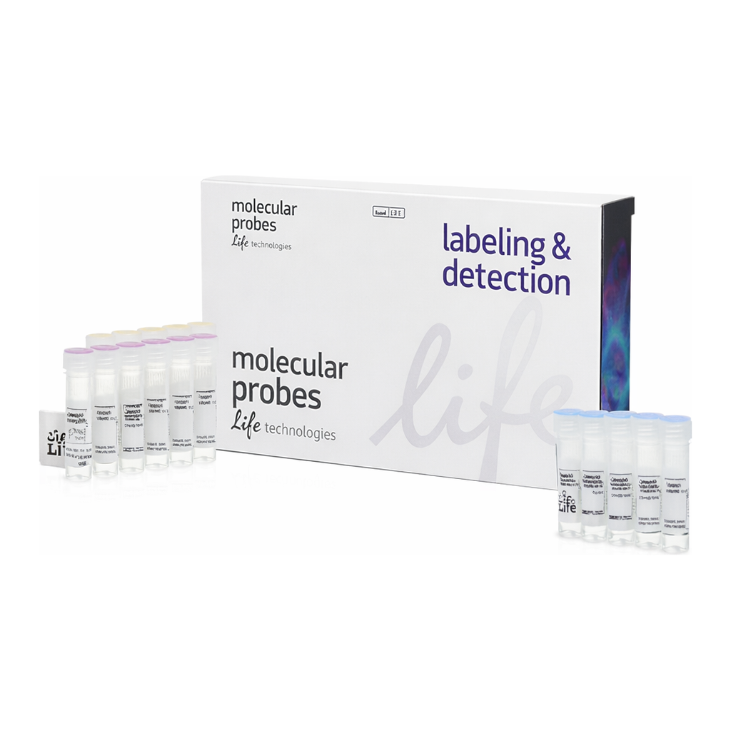 Thermo Fisher Scientific Vybrant Phagocytosis Assay Kit
