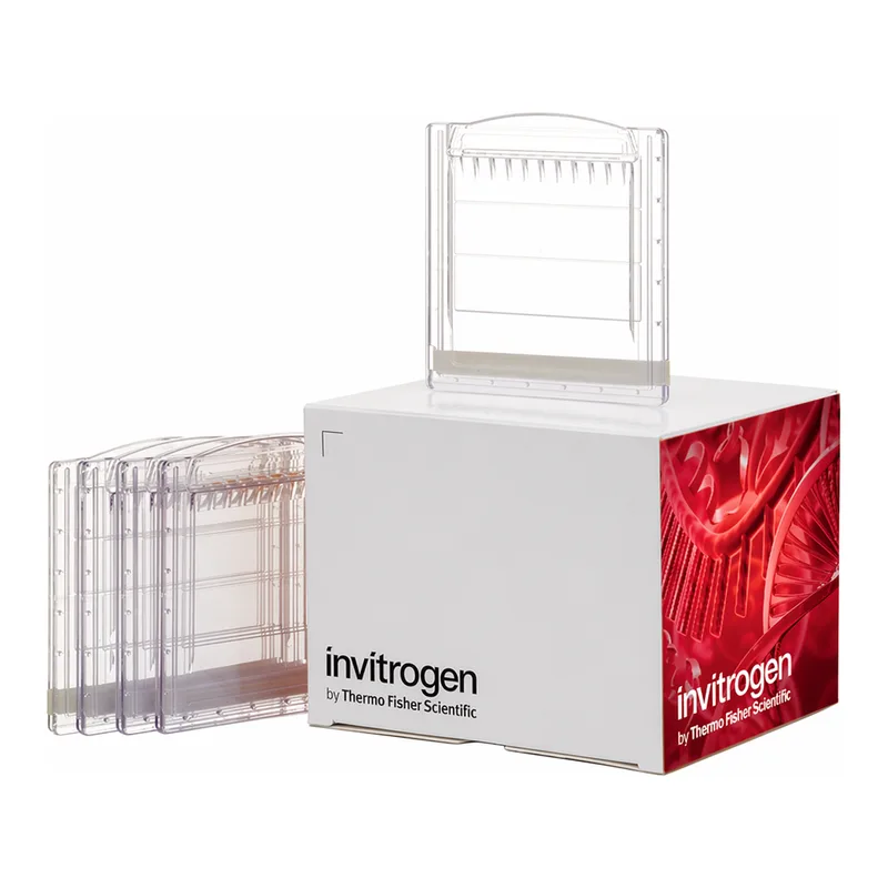 Thermo Fisher Scientific Novex Tris-Glycine Mini Protein Gels, 8–16%, 1.0 mm, WedgeWell format, 10 gels (1 box)