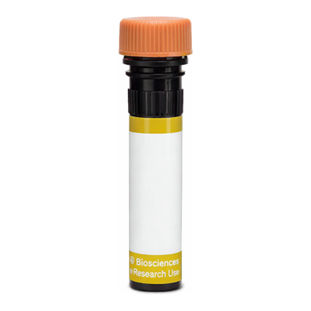 BD RY610 Mouse Anti-Human Chondroitin Sulfate (NG2)