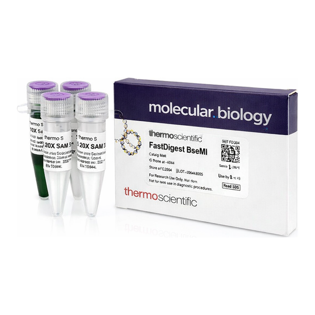 Thermo Fisher Scientific FastDigest BseMII