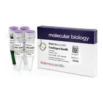 Thermo Fisher Scientific FastDigest BseMII