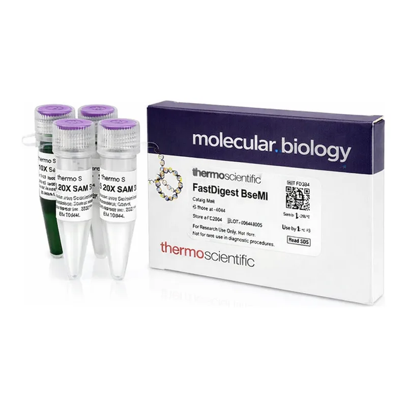 Thermo Fisher Scientific FastDigest BseMII