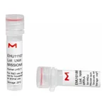 Merck MISSION(R) esiRNA