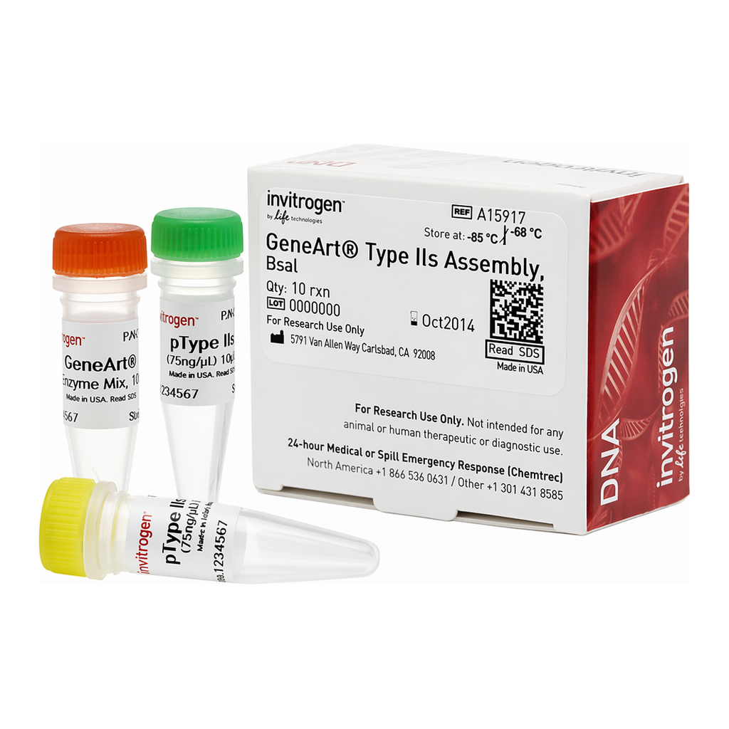 Thermo Fisher Scientific GeneArt Type IIs Assembly Kit, Bsa I
