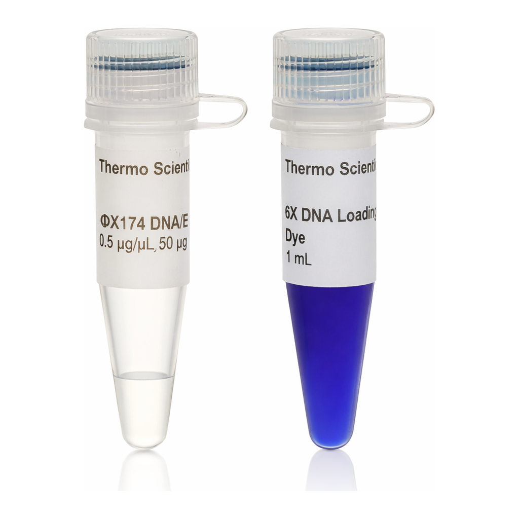 Thermo Fisher Scientific phiX174 DNA/BsuRI (HaeIII) Marker, 50 ug