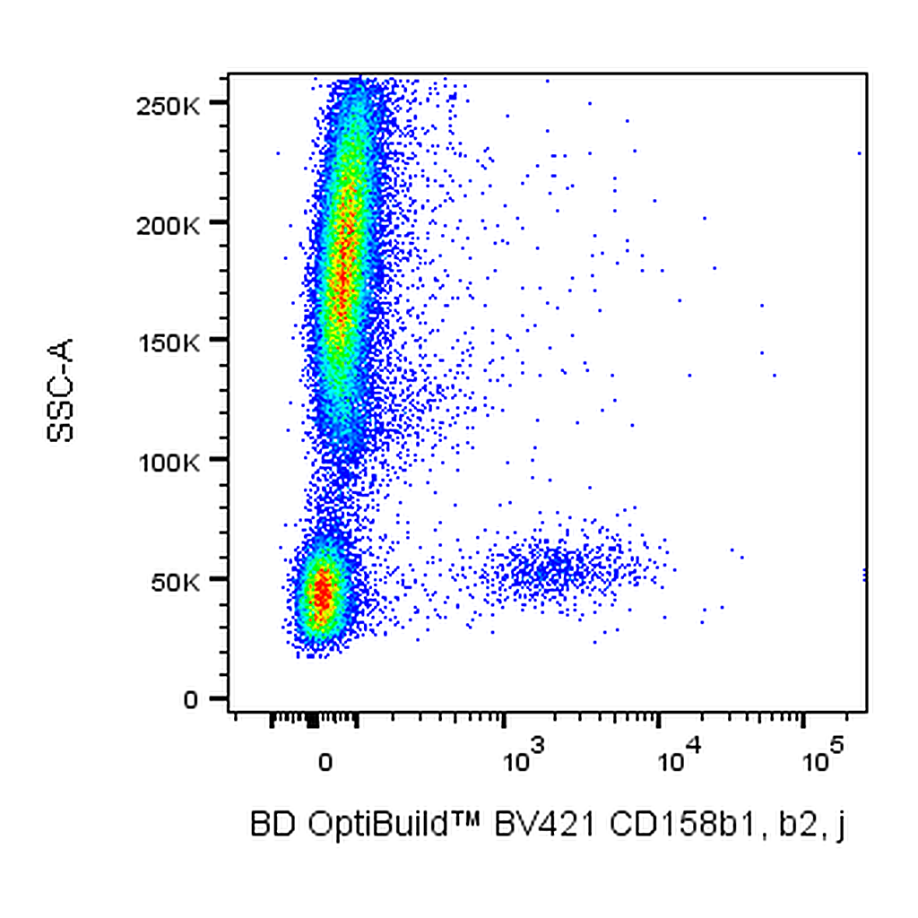 BD BV421 Mouse Anti-Human CD158b1, b2, j