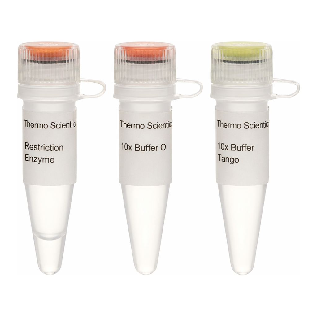 Thermo Fisher Scientific Alw21I (BsiHKAI) (10 U/&mu;L)