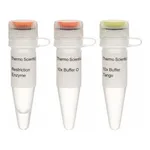 Thermo Fisher Scientific Alw21I (BsiHKAI) (10 U/μL)