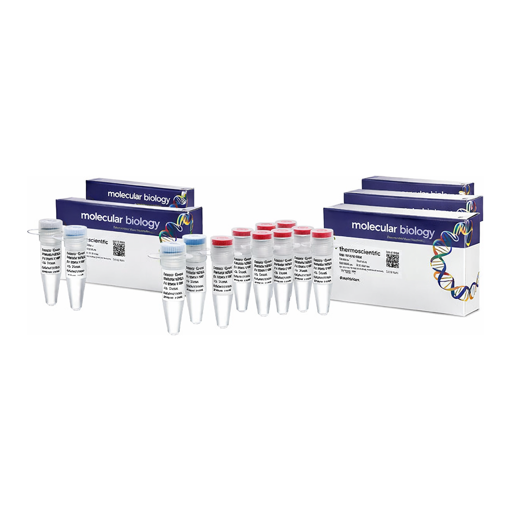Thermo Fisher Scientific Phusion Hot Start II DNA Polymerase &amp; dNTP Mix (10 mM each)