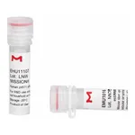 Merck MISSION(R) esiRNA