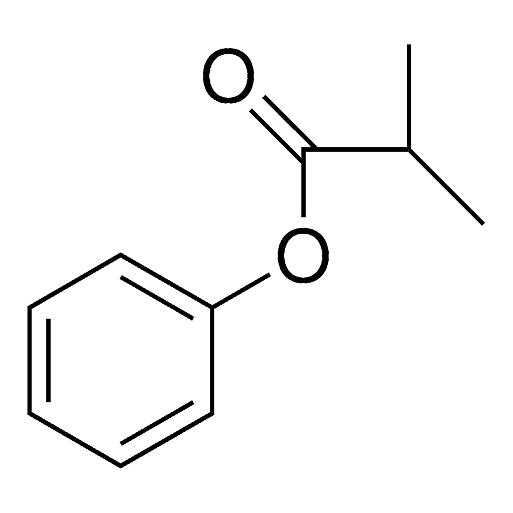 Merck PHENYL ISOBUTYRATE-