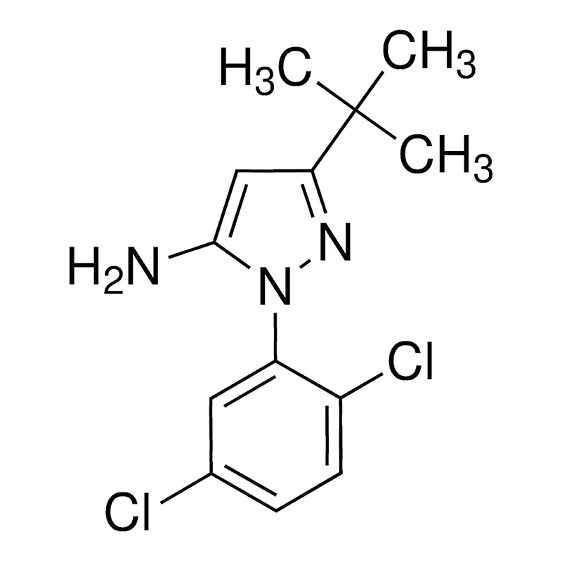 Merck 5-tert-Butyl-2-(2,5-dichlorophenyl)-2h-pyrazol-3-ylamine