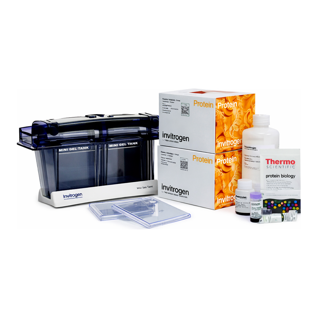 Thermo Fisher Scientific NuPAGE Bis-Tris Welcome Pack, 12%, 10-well, 1 Welcome Pk. kit