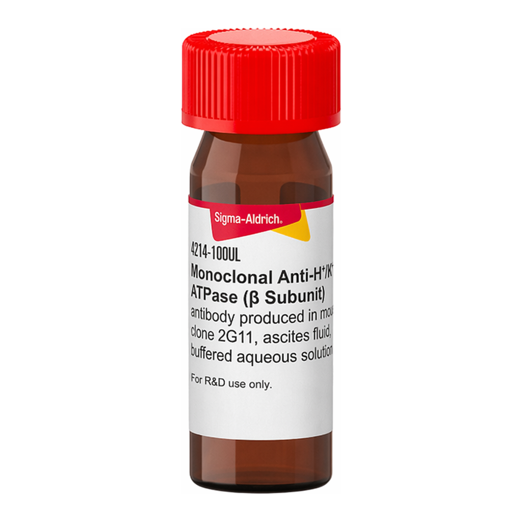 Merck Monoclonal Anti-H+/K+ ATPase (beta Subunit) antibody produced in mouse