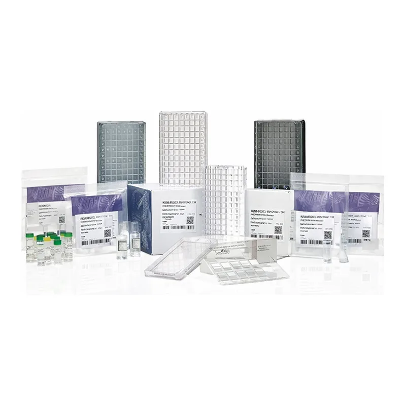 Thermo Fisher Scientific Clariom S Assay HT, human, 30 reactions