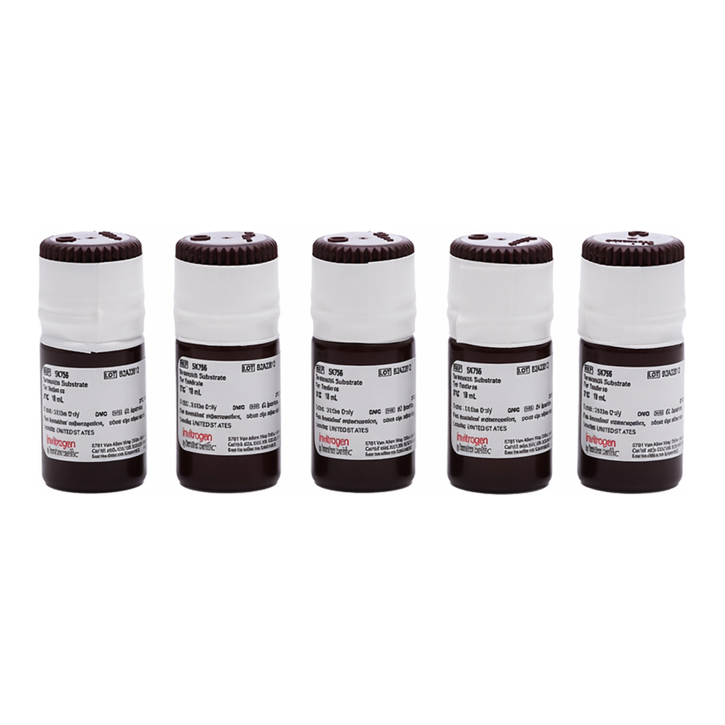 Thermo Fisher Scientific Ethidium Bromide Solution (10 mg/mL)