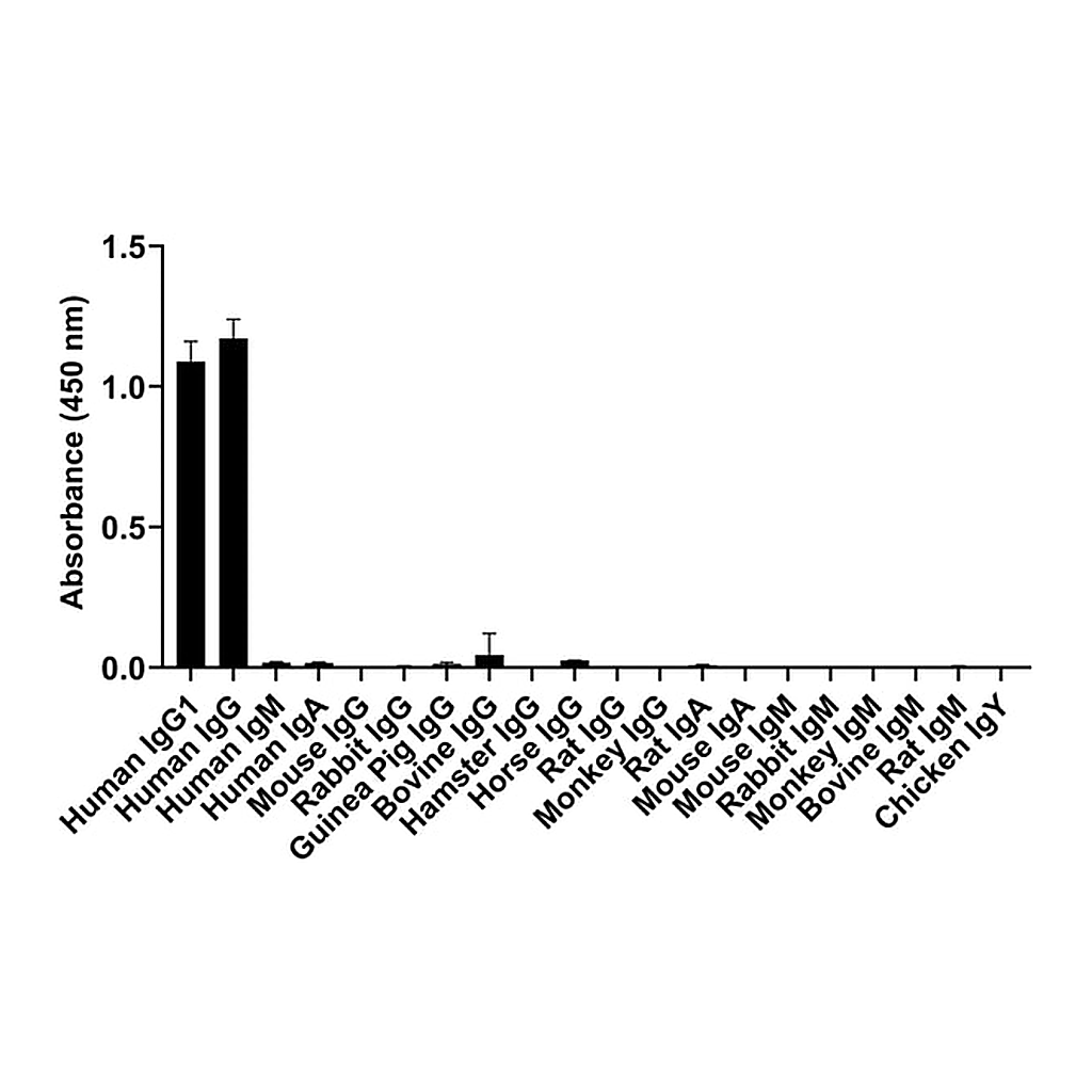 Thermo Fisher Scientific Goat anti-Human IgG1 (Heavy chain) Recombinant Secondary Antibody, Alexa Fluor 488