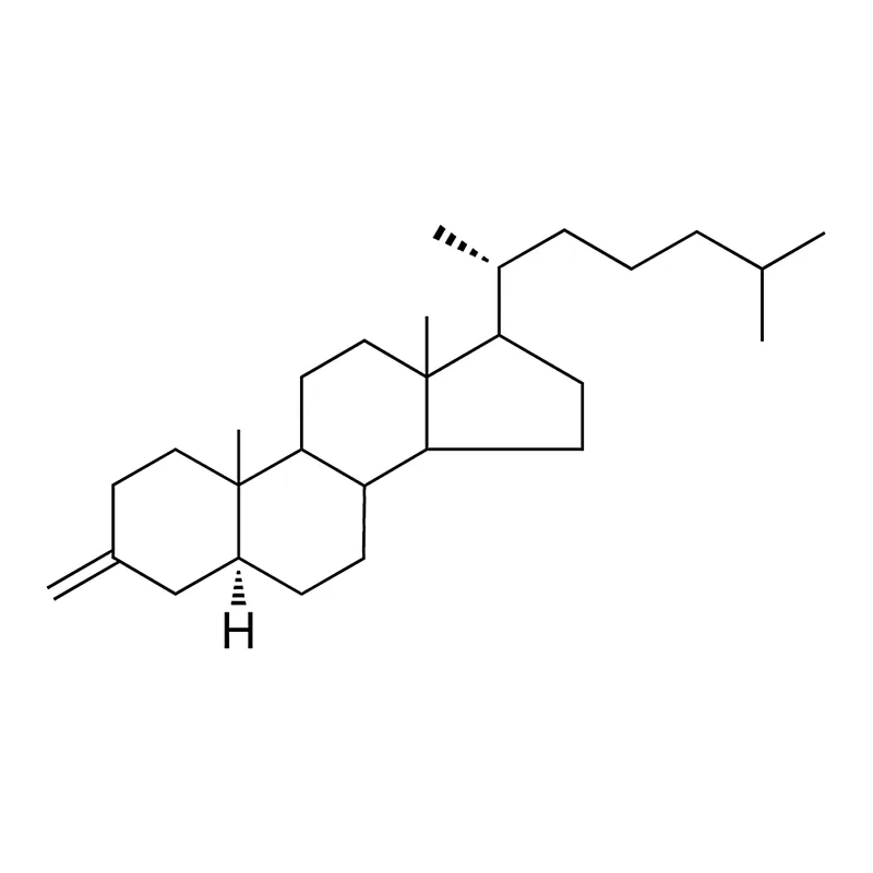 Merck 3-METHYLENE-5-ALPHA-CHOLESTANE-