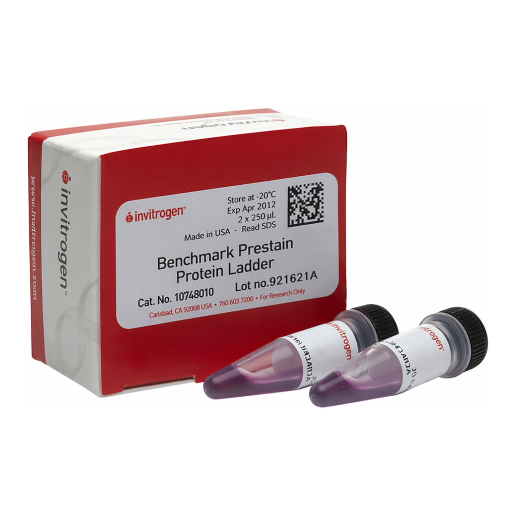 Thermo Fisher Scientific BenchMark Pre-stained Protein Ladder