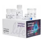 Thermo Fisher Scientific Click-iT HPG Alexa Fluor 488 Protein Synthesis Assay Kit