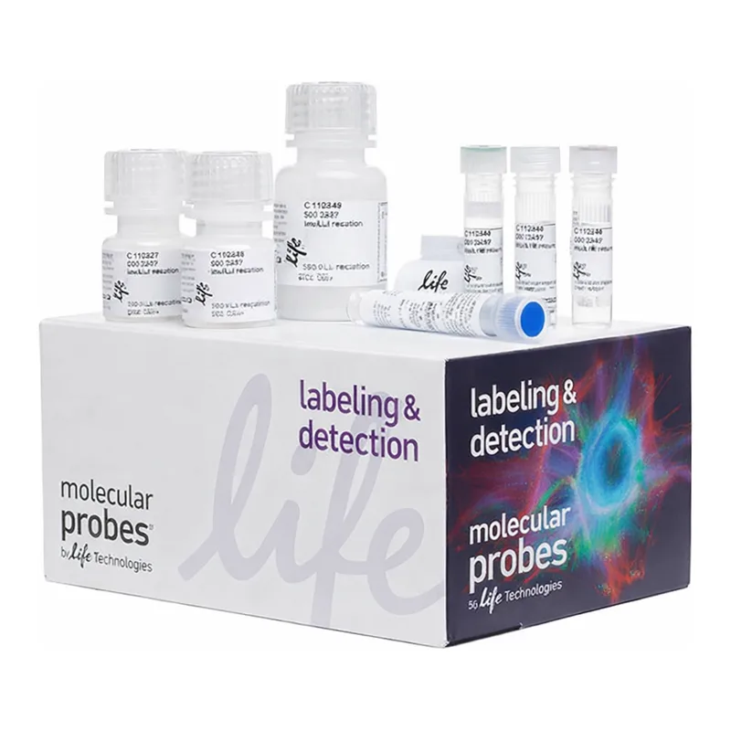Thermo Fisher Scientific Click-iT HPG Alexa Fluor 488 Protein Synthesis Assay Kit