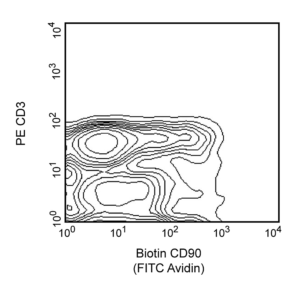 BD Biotin Mouse Anti-Rat CD90/Mouse CD90.1
