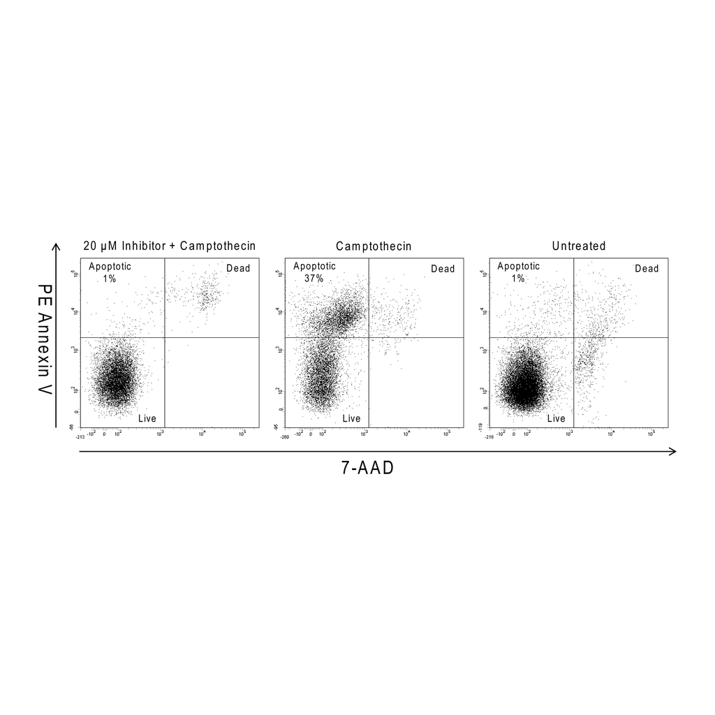 BD Q-VD-OPh, General Caspase Inhibitor