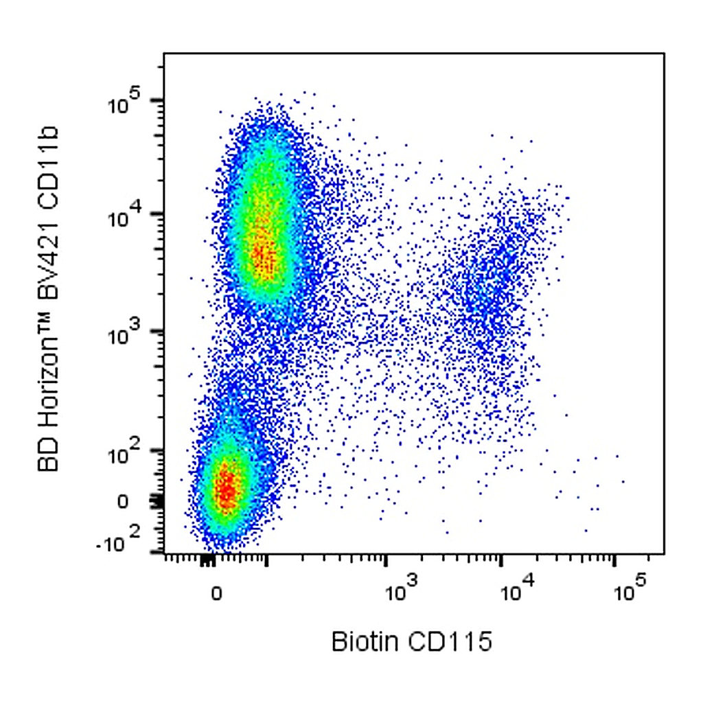 BD Biotin Rat Anti-Mouse CD115 (CSF-1R)
