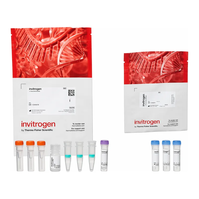 Thermo Fisher Scientific Alexa Fluor 594 Microscale Protein Labeling Kit