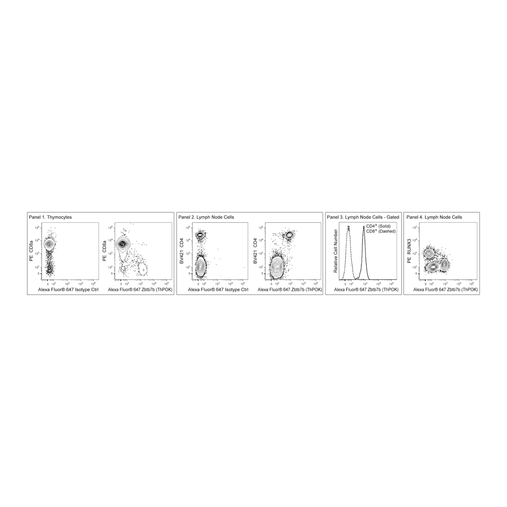 BD Alexa Fluor® 647 Rat Anti-Mouse Zbtb7b (ThPok)