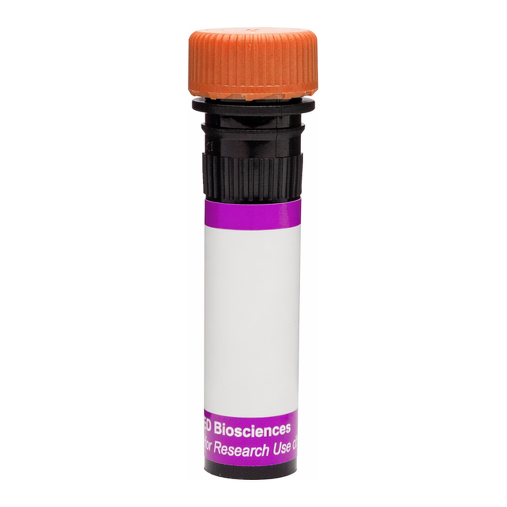 BD BV605 Mouse Anti-Human TNFR Related Protein (LTβR)