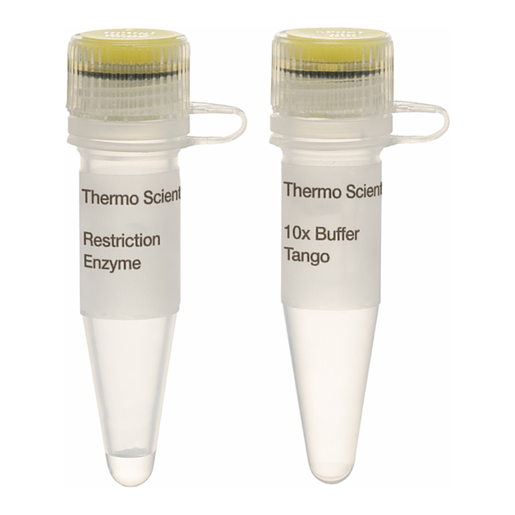 Thermo Fisher Scientific NsbI (FspI) (10 U/&mu;L)