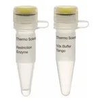 Thermo Fisher Scientific NsbI (FspI) (10 U/μL)