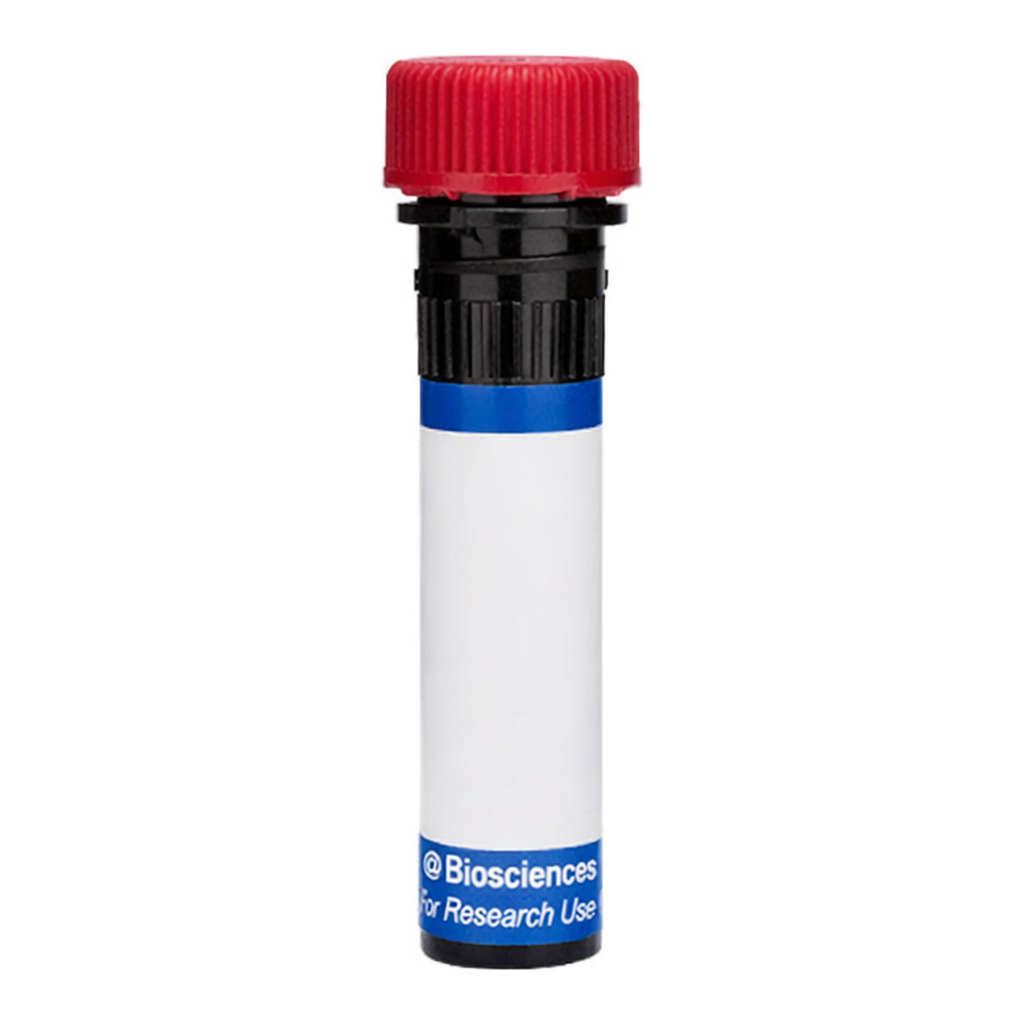 BD RB670 Rat Anti-Mouse CD115 (CSF-1 Receptor)