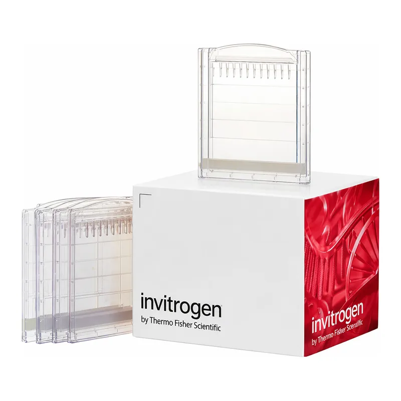 Thermo Fisher Scientific Novex Tris-Glycine Mini Protein Gels, 8%, 1.0 mm, WedgeWell format, 10 gels (1 box)