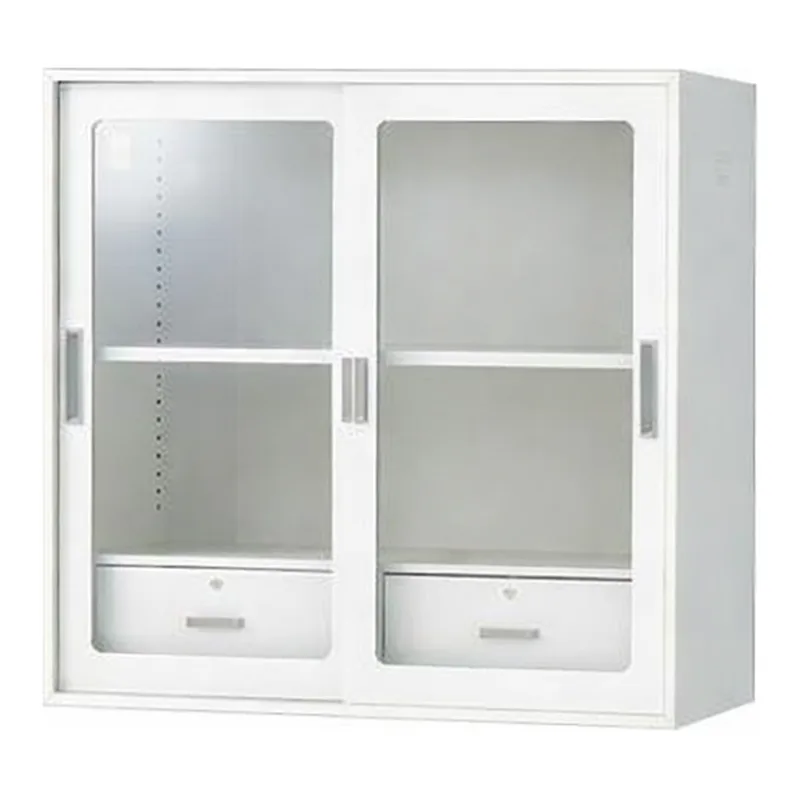 AS ONE Chemical-Resistant Double Sliding Storehouse Glass Door (With Drawer)and others